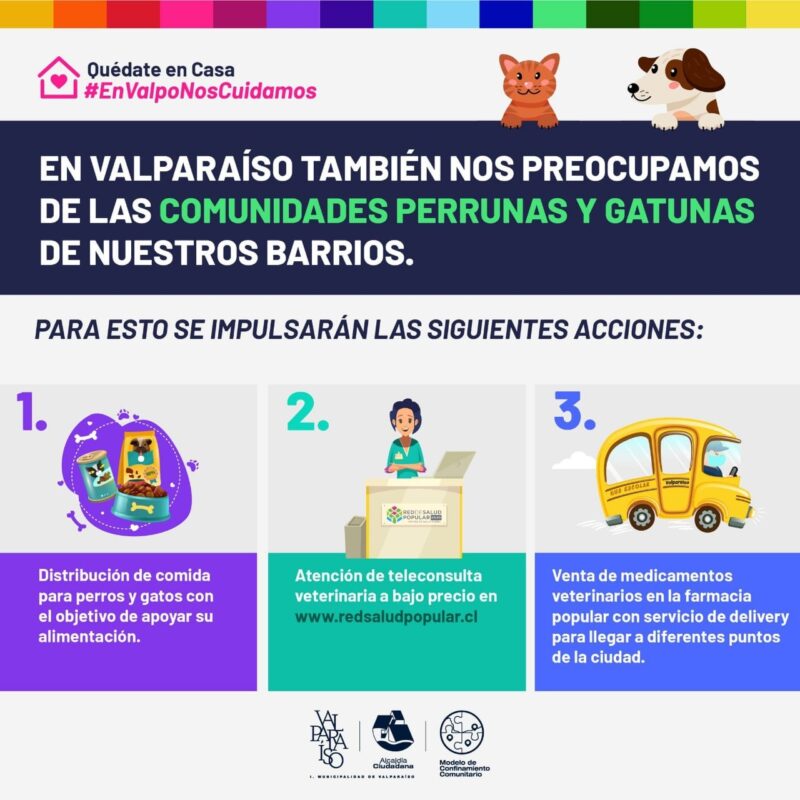 18-6-2020-14-VETERINARIA