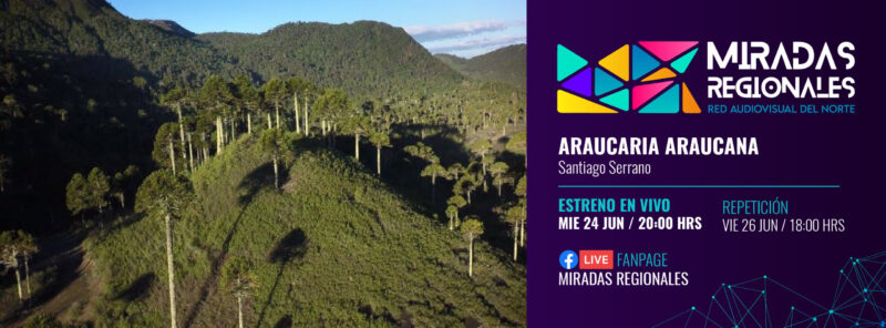 4. Araucaria Araucana_Banner Facebook (1)