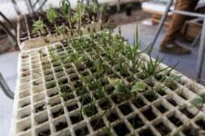 1611760662_webhuertosurbanosIMA