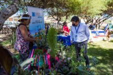 1612103213_webyoiferiaIMA