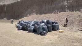 131426640_1779698185539873_1335396042312141469_n