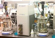 foto anillo claudia altamirano