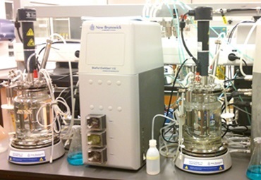 foto anillo claudia altamirano