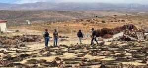 fiscalizacion-algaspardas-ovalle1