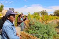 IMG_8560-1024x683-compressed