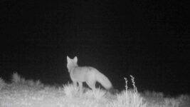 09-07-2024-Arica-compressed