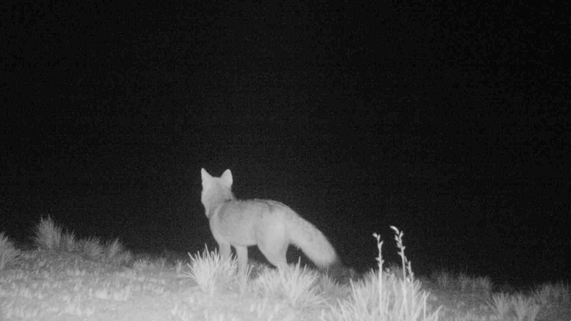 09-07-2024-Arica-compressed