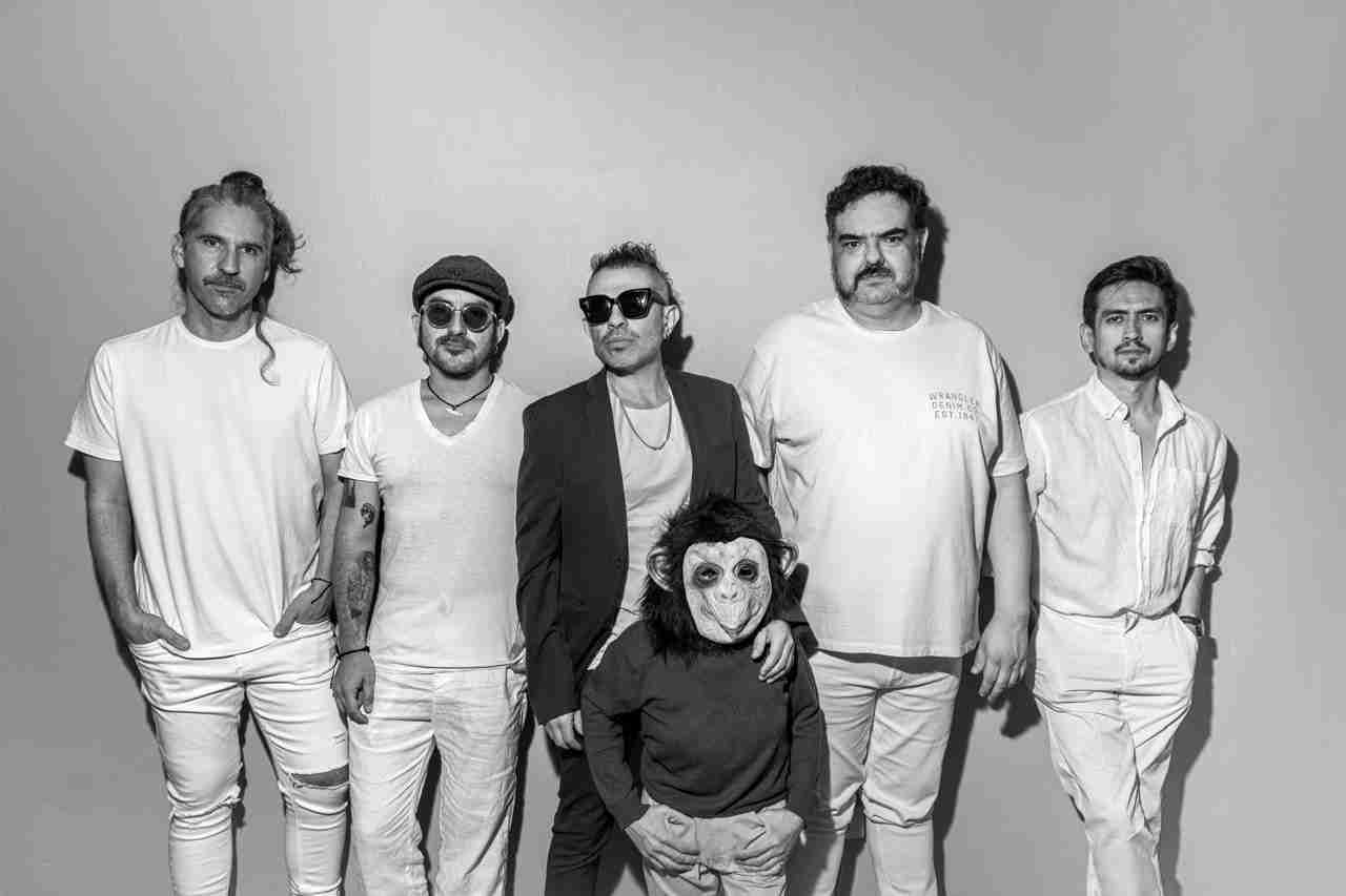 primate-bipedo-compressed