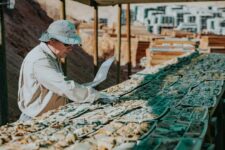 480817681_122122124204623080_5716295960750281132_n