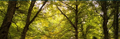 Captura de pantalla 2025-07-06 222805