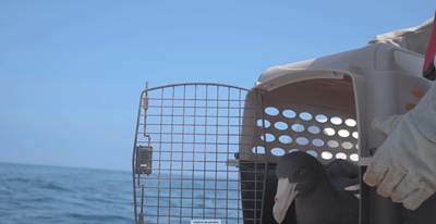 WhatsApp-Image-2025-07-11-at-09.02.04