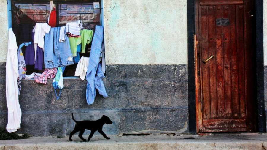 El_guardian_de_la_casa_-_Cerro_Polanco-compressed