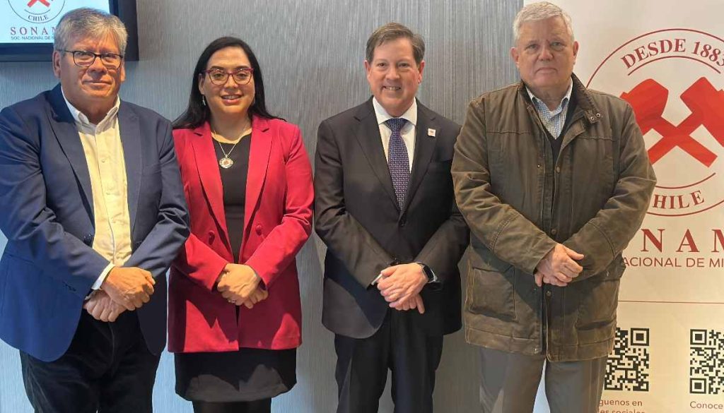 Elecciones-sonami-2-compressed