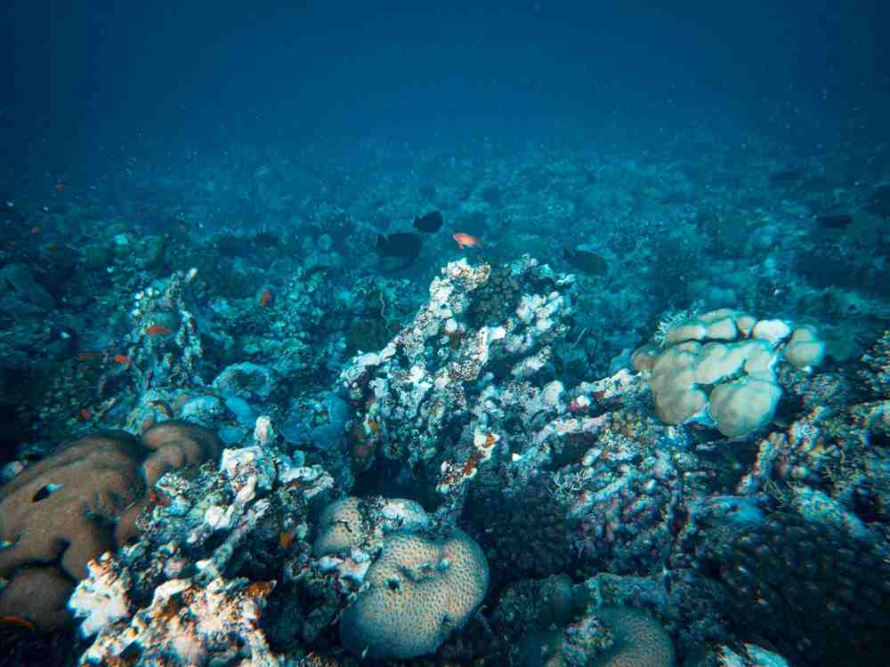 Mineria-marina-4-compressed